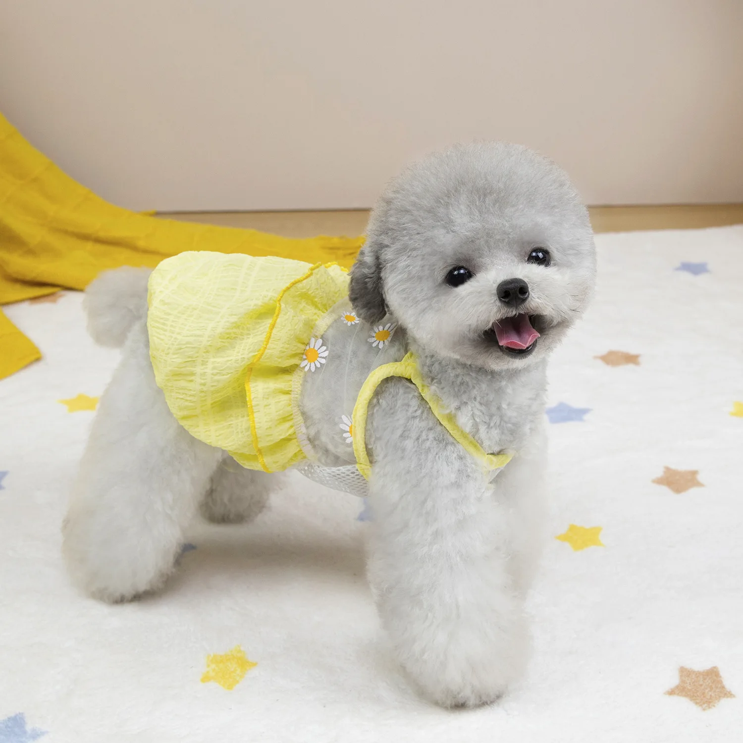 Chaleco de malla con flores bordadas para mascotas, ropa para gatos, falda con farol fresco para perros pequeños, ropa para cachorros, ropa para perros - imagen 4