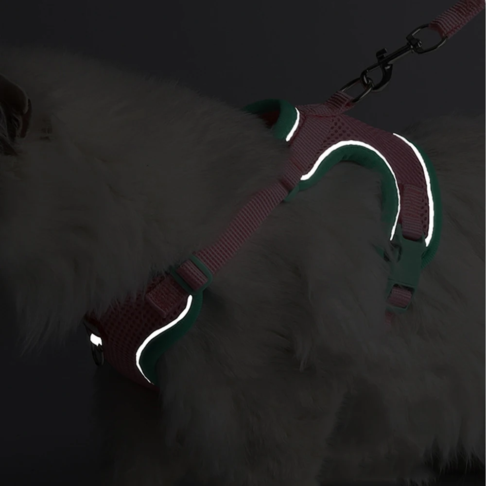 Conjunto de arnés y correa de chaleco para perros y gatos, petos de malla transpirables para perros pequeños, accesorios para mascotas Sphynx, verano - imagen 5