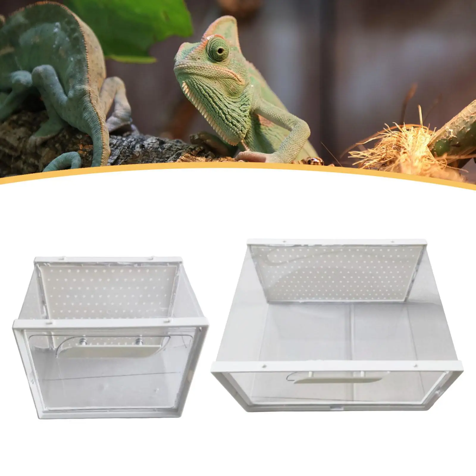Terrario para reptiles, ventilación, caja de cría para reptiles, rana, cangrejo, tortuga - imagen 2