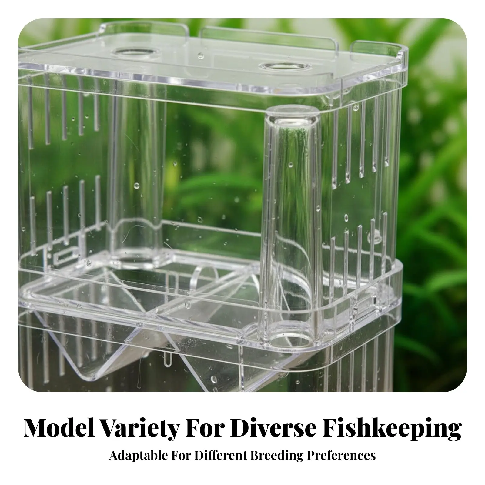 Caja de cría para guppys de doble nivel – Acuario transparente - imagen 3