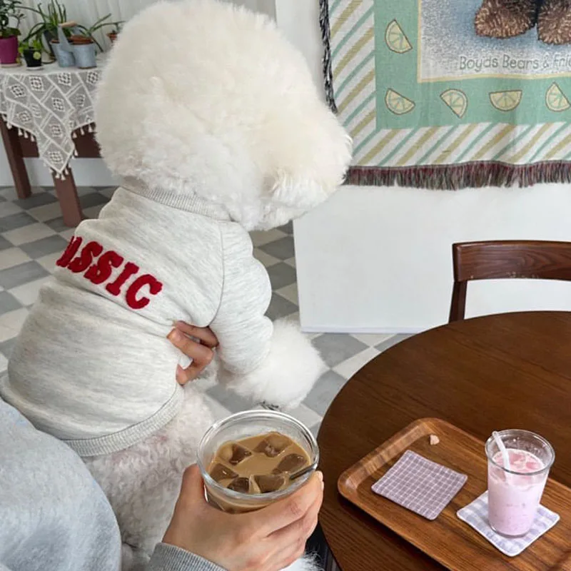 Sudaderas con capucha para perros, ropa cálida para primavera y otoño, disfraz para mascotas gris marino para perros pequeños y medianos, sudadera para cachorros Chihuahua Yorkie Poodle - imagen 2