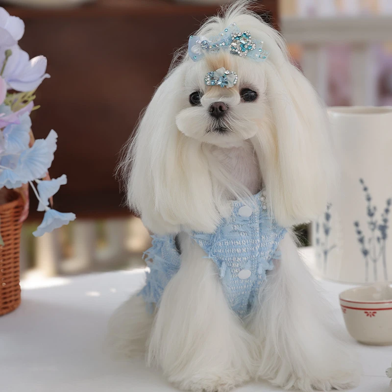 Chaleco bonito para mascotas, ropa de princesa para mascotas, mono para perros pequeños, cárdigan, ropa para cachorros, chaleco para perros, otoño e invierno - imagen 4