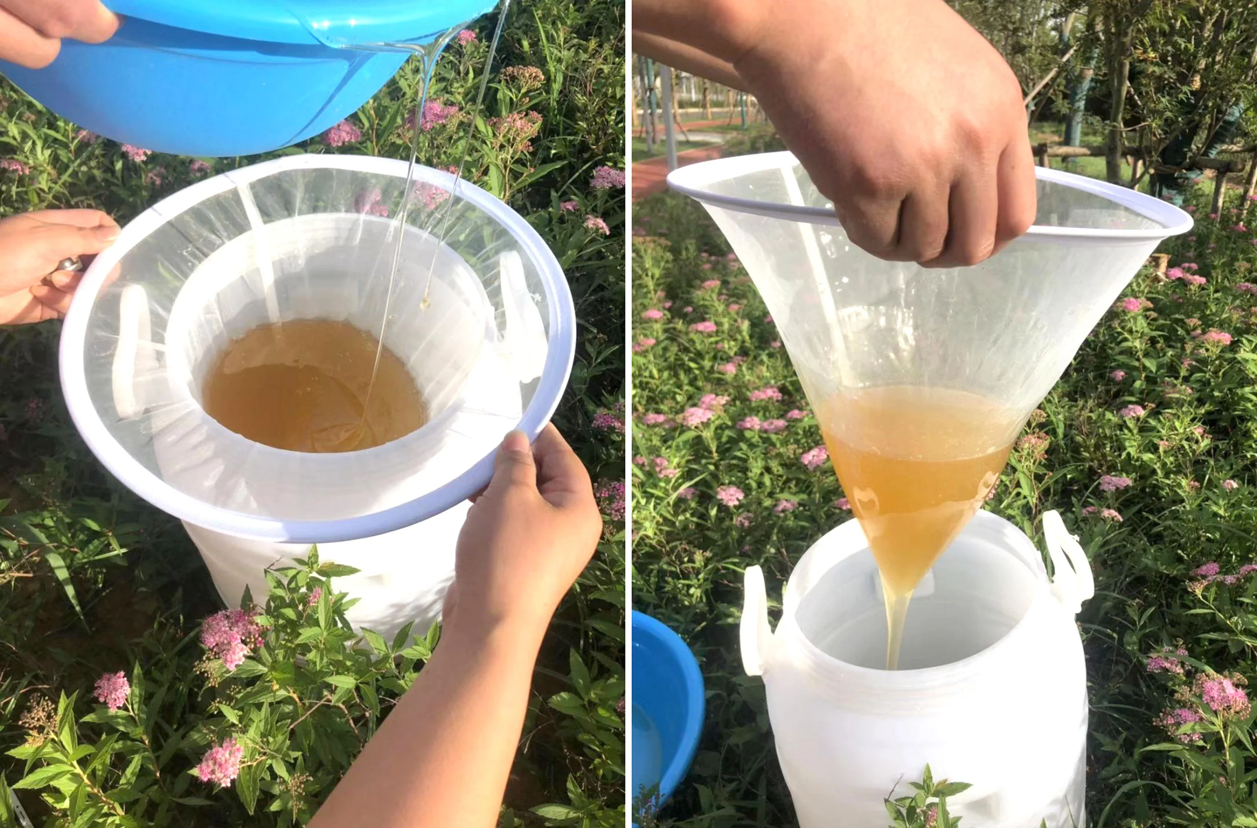 Filtro colador de miel de apicultura, purificador de pantalla de malla 150, herramienta de equipo apiario, coladores, Gadget de cocina, 1 ud. - imagen 2