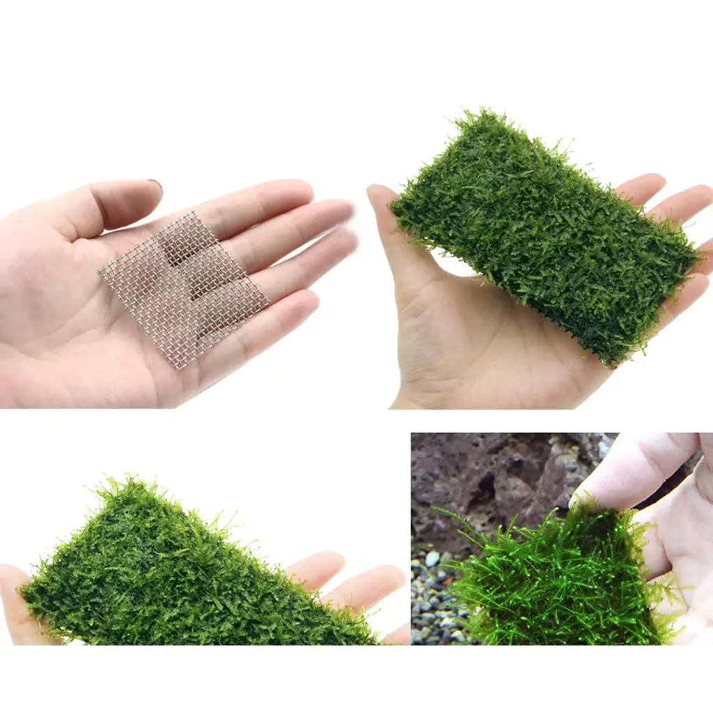 10x Aquarium Stainless Steel Wire Mesh Pad Plants Moss Net - Easy to Use with All Aquatic Plants
