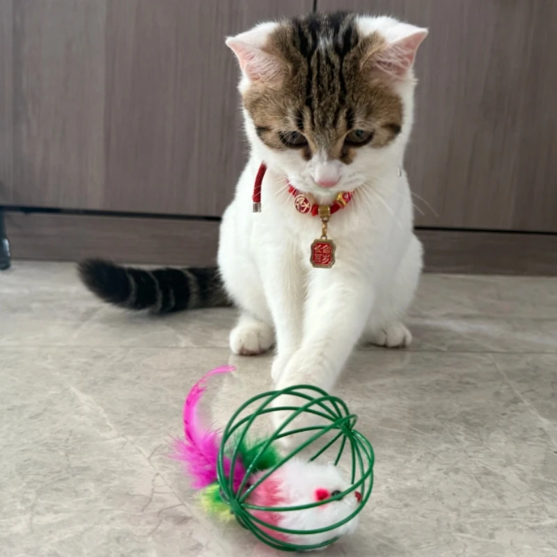 Juguete para gato con forma de jaula y ratón con cola de plumas, juguete interactivo colorido para perseguir, juguete con bola rodante, 1 pieza de accesorios para gatos de Color aleatorio