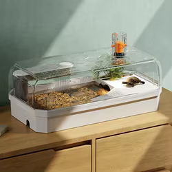 Acuario panorámico para tortugas con plataforma, filtro y calefacción