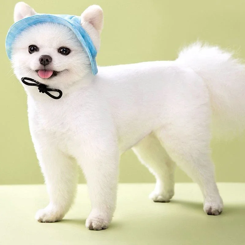 Gorras para perros y gatos, gorro pequeño para cachorros y mascotas, gorra de ala redonda de verano, visera de béisbol para perros, accesorios para exteriores, gorro para el sol para perros - imagen 5