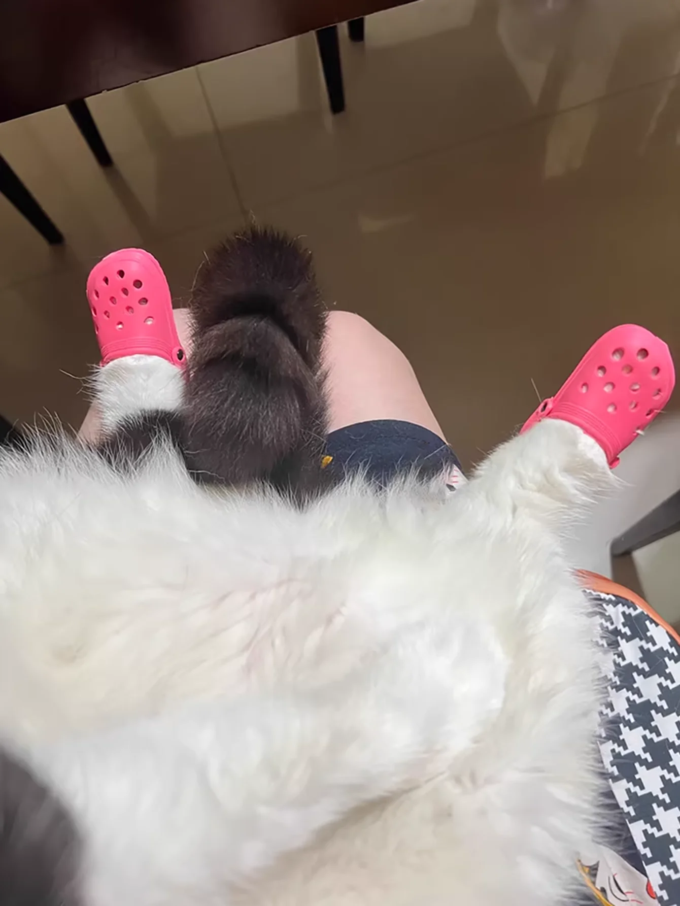 Zapatos antideslizantes transpirables para perros pequeños y gatitos - imagen 3