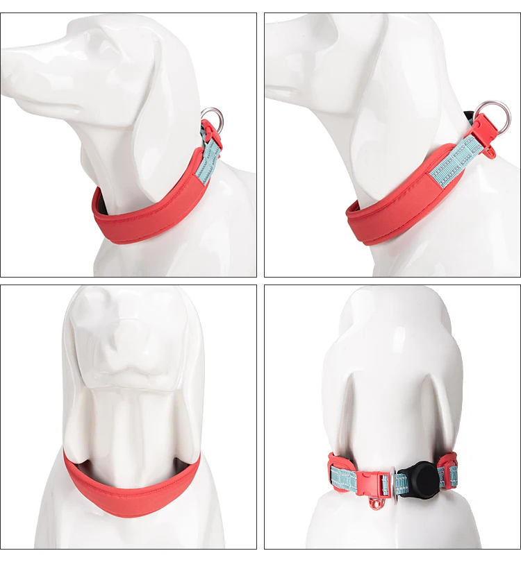 Un perro blanco con un collar rosa y una etiqueta azul