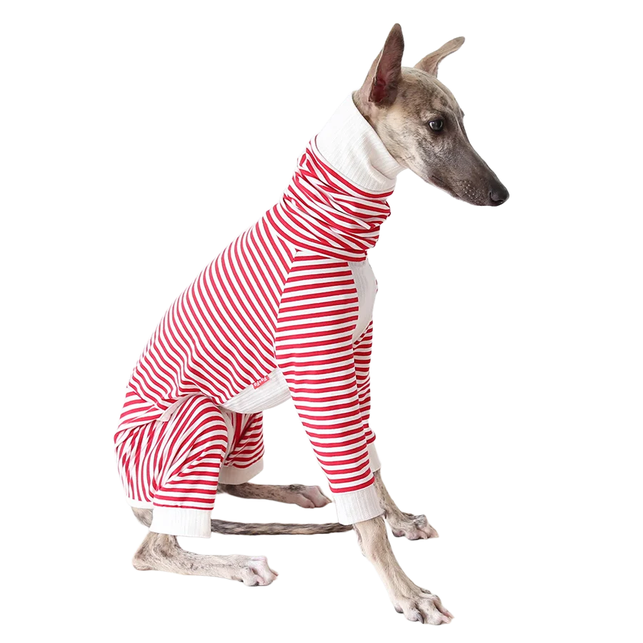 Mono elástico para galgo italiano y whippet – Cómodo traje con rayas - imagen 5