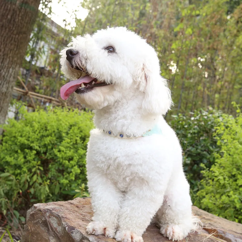 Arnés para gatos con diamantes de imitación, conjunto de correa, arnés reflectante ostentoso para mascotas, chaleco para perros pequeños, arnés para gatos brillante ajustable de cuero suave - imagen 4
