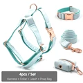 Harness Collar Set