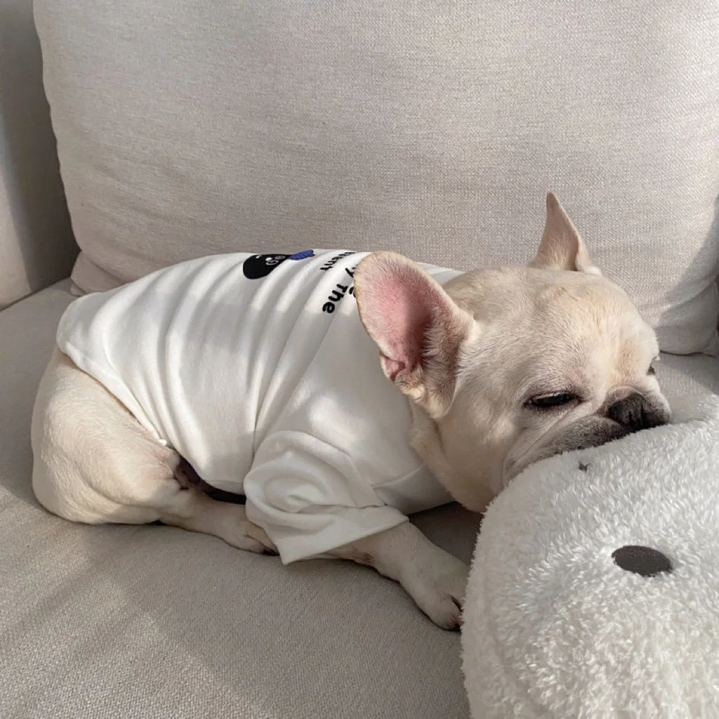 Ropa bonita de invierno para perros, Jersey cálido para cachorros, sudadera, chaqueta blanca para mascotas, abrigos para perros pequeños y medianos, disfraz de Bulldog Francés - imagen 4