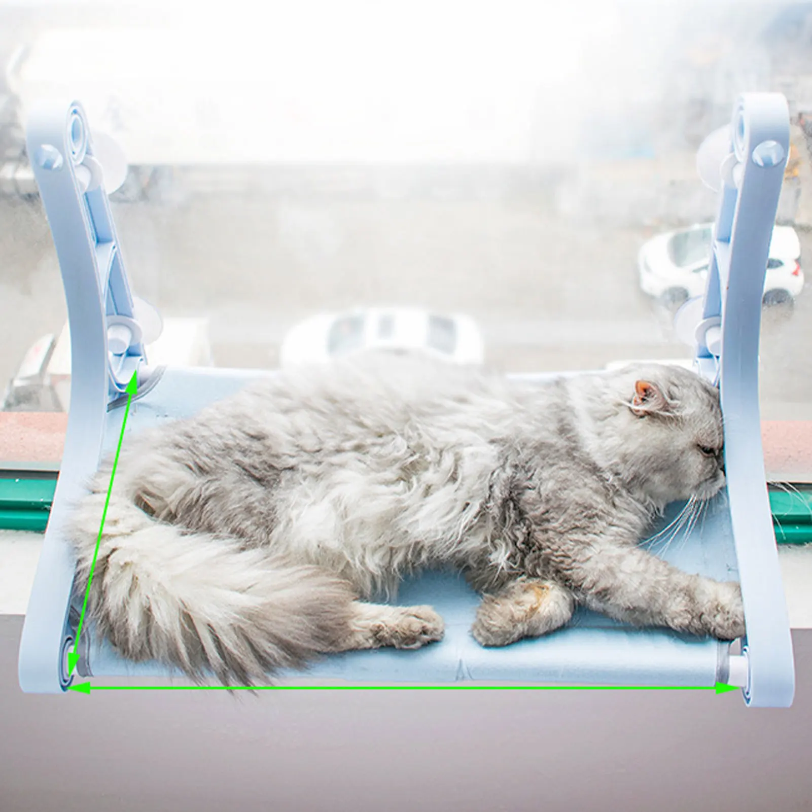 Hamaca para ventana de gato, asiento de seguridad resistente para gatos, hamaca para ventana de hasta 50lb, último tornillo de ventosas Extra, 2022 - imagen 3