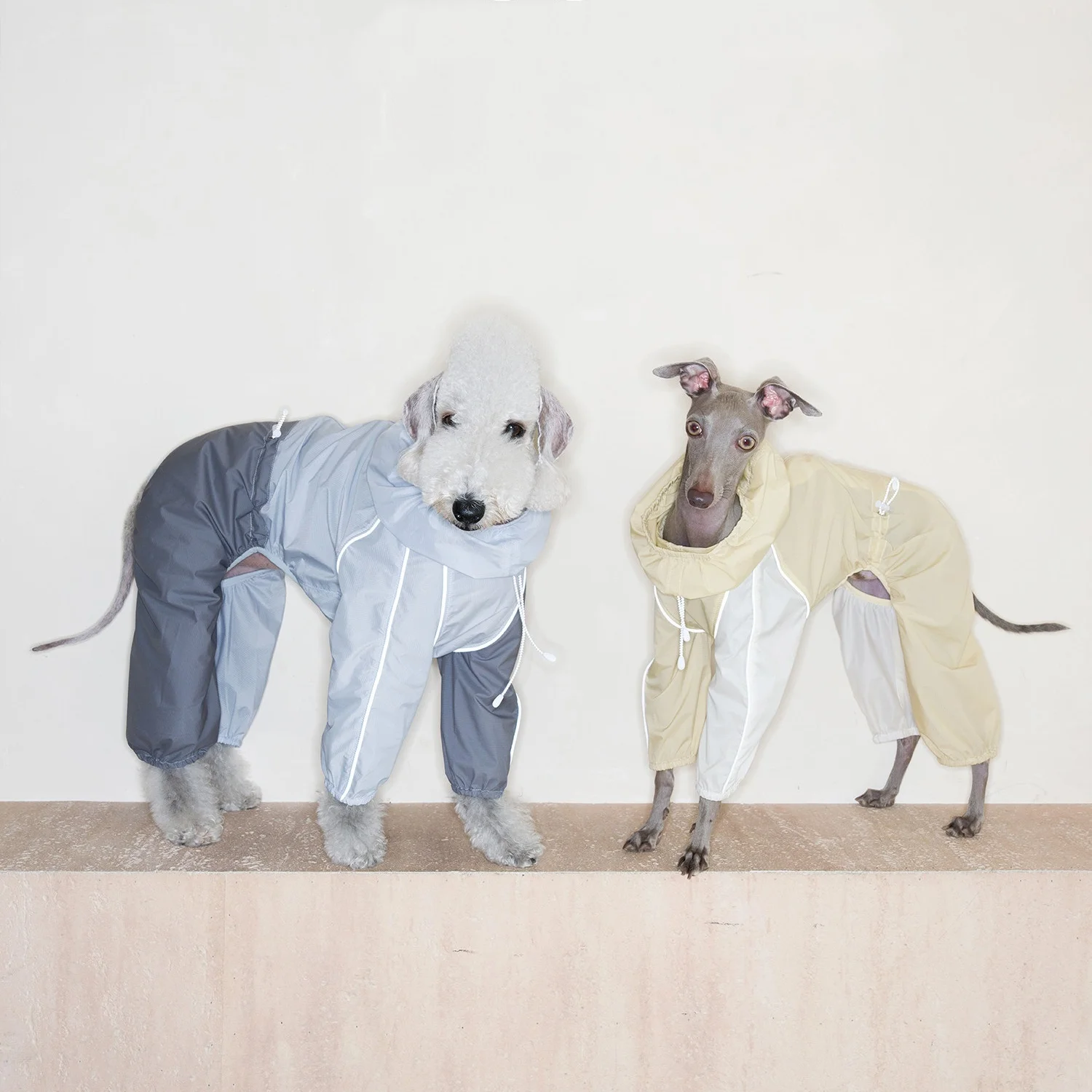 Chaqueta impermeable ultraligera UPF50+ para perro galgo italiano - imagen 5