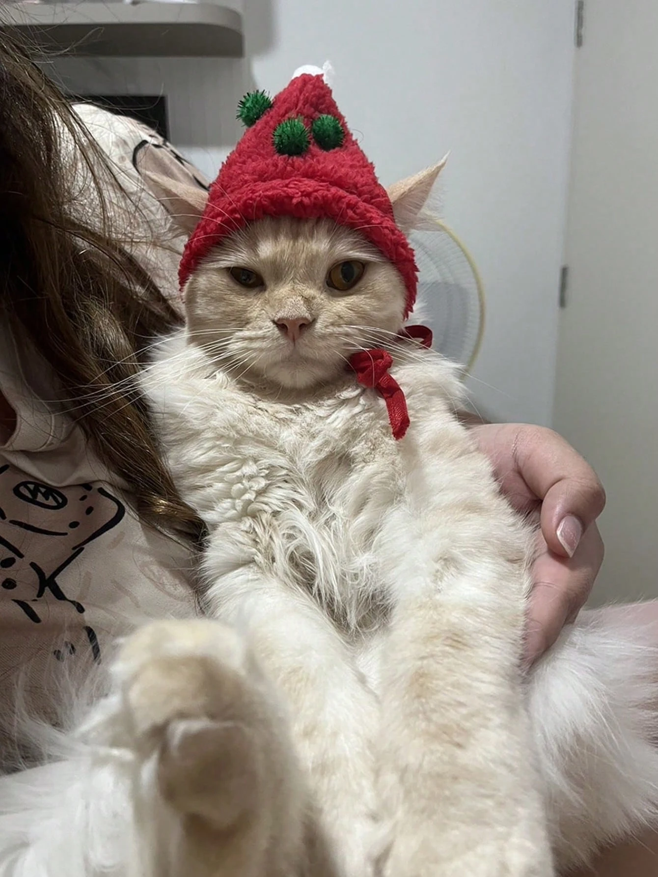 1 pieza de sombrero de árbol de asta de mascota de Navidad, sombrero de perro peludo para decoraciones de fiesta de Navidad de gato/perro, adecuado para mascotas pequeñas a medianas - imagen 5