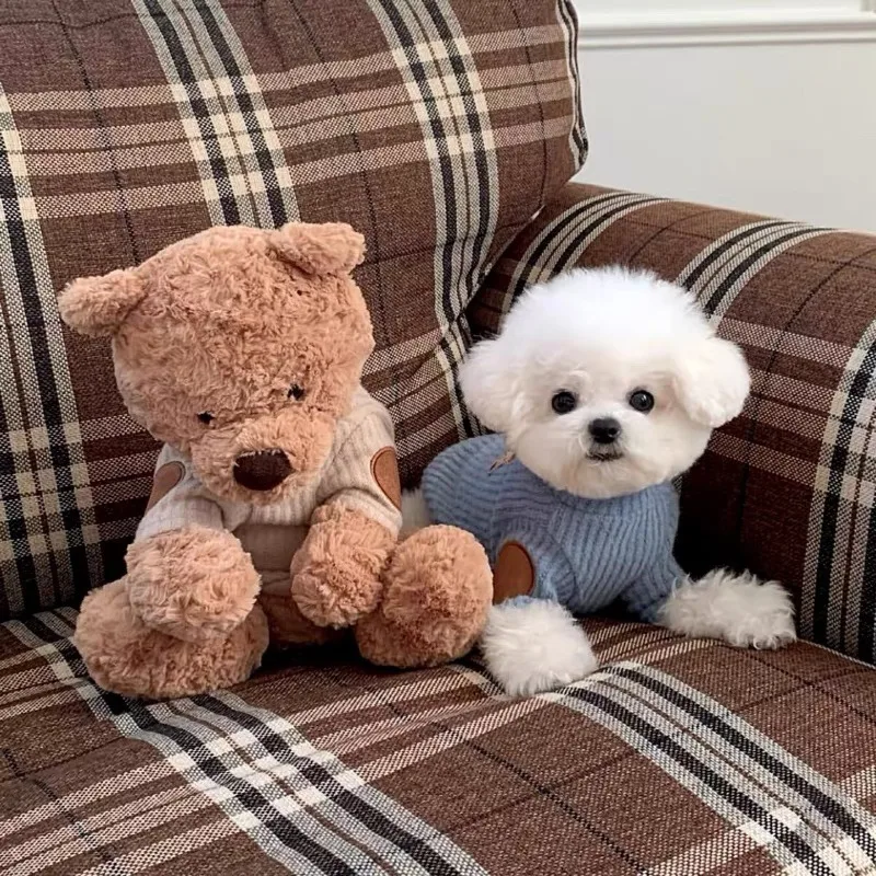 Ropa para mascotas, ropa para mascotas de estilo europeo, camisa de fondo de punto de peluche, chaleco de manga con parche de Pomerania, Jersey cálido de invierno Yorkshire - imagen 4