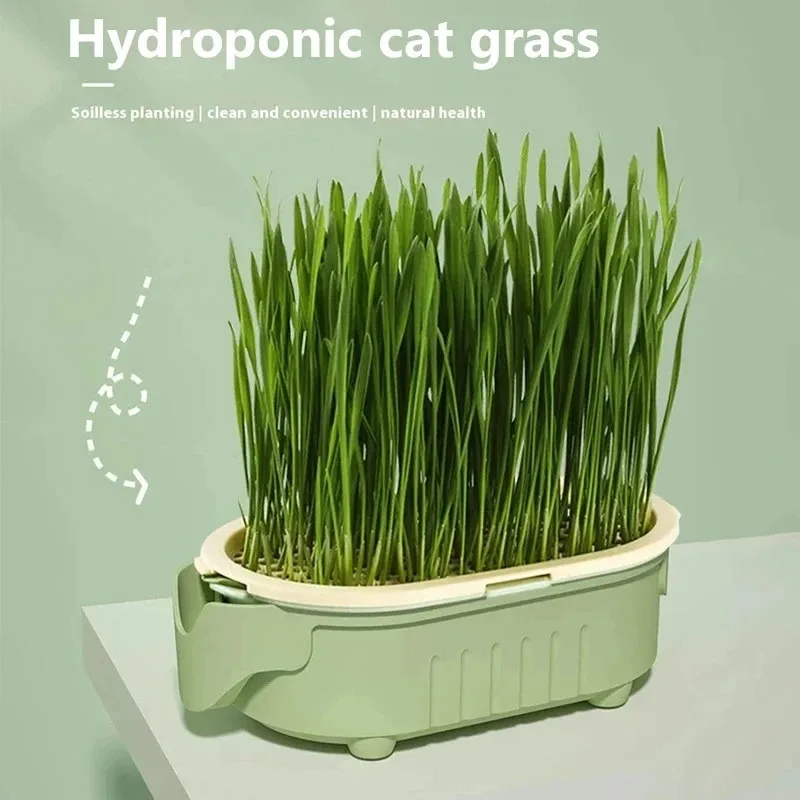 Kit de Hierba para Gatos Cultivo Fácil en Vaso