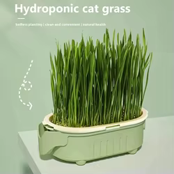 Kit de Hierba para Gatos Cultivo Fácil en Vaso