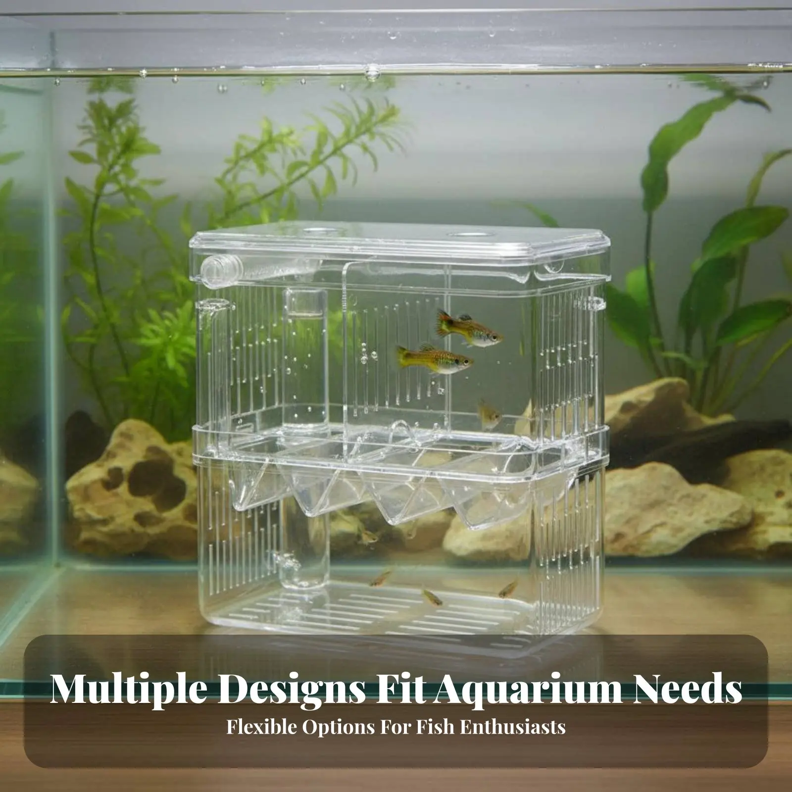 Caja de cría para guppys de doble nivel – Acuario transparente - imagen 4