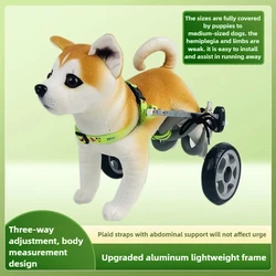 Silla de ruedas trasera para perros discapacitados – Soporte movilidad