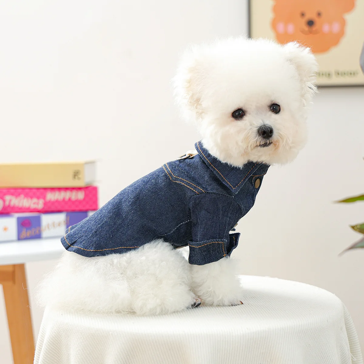 Chaqueta vaquera de otoño e invierno para mascotas, camisa vaquera cálida y cómoda para perros pequeños y gatos felices, ropa para perros pequeños - imagen 2