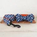 Bow Tie Collar Leash