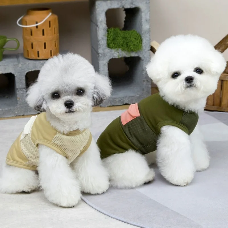 Chaleco veraniego de malla para perros cachorros Bichón y gatos - imagen 5