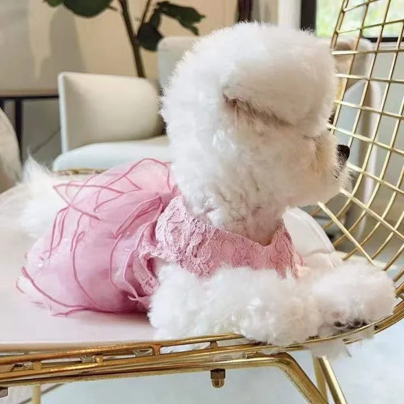 Vestido de princesa de encaje para mascotas, para perros pequeños, gatos, gasa transpirable, traje ligero con lazo para verano, ropa de fiesta de boda - imagen 4