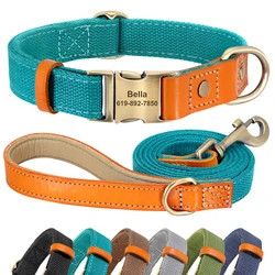 Collar y correa para Pug de cuero con placa identificativa