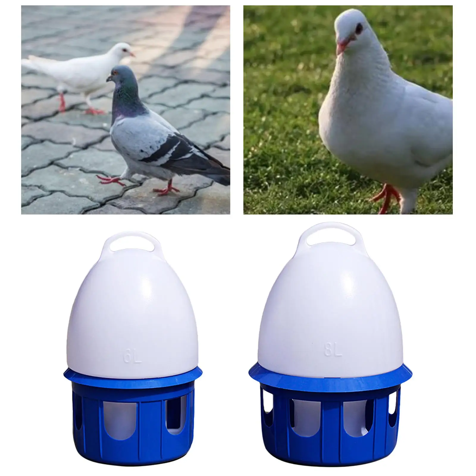 Bebedero exterior para pájaros con dispensador de agua desmontable - imagen 5