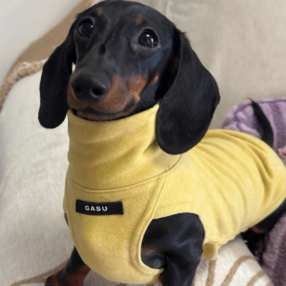 Chaleco de algodón cómodo para perros salchicha – entretiempo - imagen 5