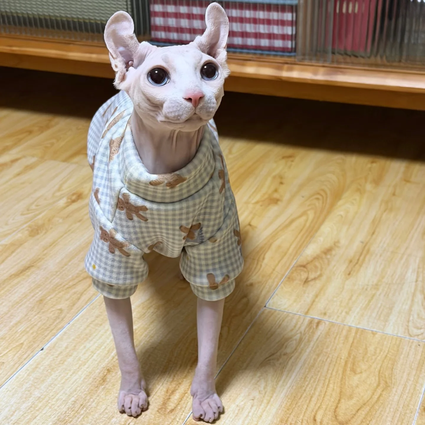 Abrigo de lana para gato Sphynx – Cálido y suave para gato sin pelo - imagen 3