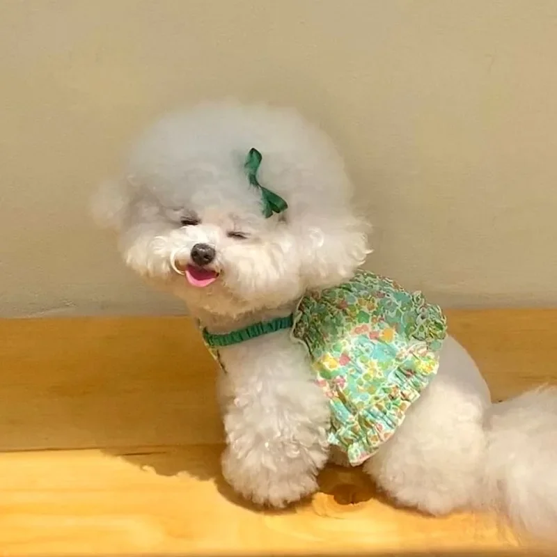 Ropa Floral verde para mascotas, ropa bonita con tirantes florales para campo de peluche, falda de verano, chaleco para cachorros Bichon Frise, ropa para perros y mujeres - imagen 3
