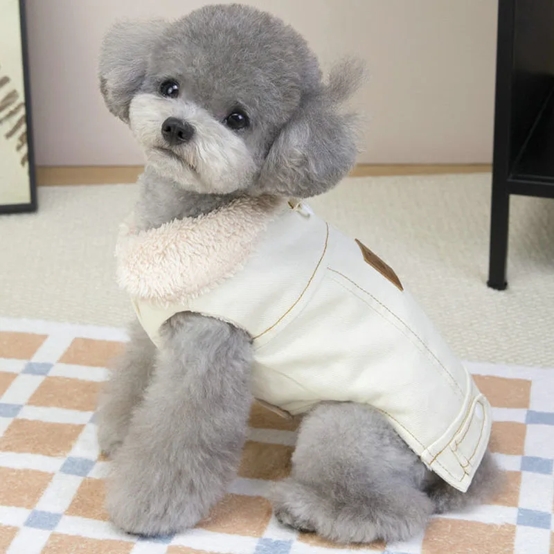 Ropa de invierno para perros, chaleco vaquero cálido, chaqueta para perros pequeños, Chihuahua, Yorks, ropa sin mangas para mascotas, abrigo vaquero para cachorros, chaqueta, ropa - imagen 5