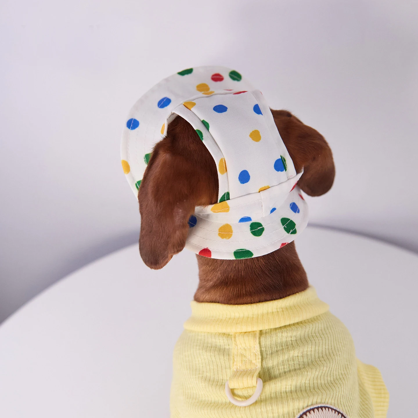 Gorra de verano con protección solar para perros pequeños y medianos - imagen 5