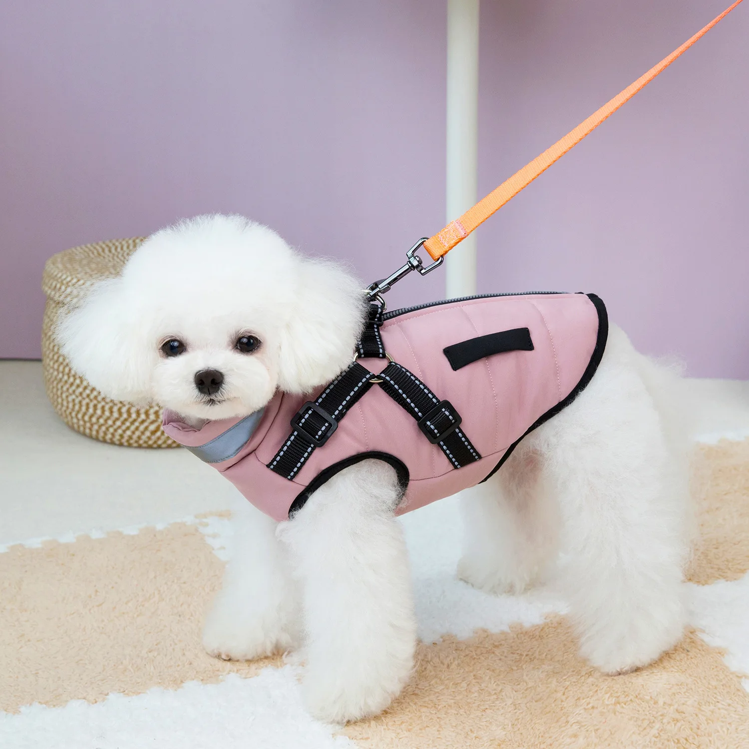 Chaleco impermeable para perros – Cálido con reflectante para invierno