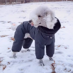 Abrigo invierno perro Bedlington cálido cortavientos impermeable