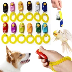 Clicker adiestramiento canino con correa – Entrena a tu perro