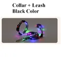 CollarLeash Black