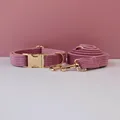 Dog Collar Leash Set