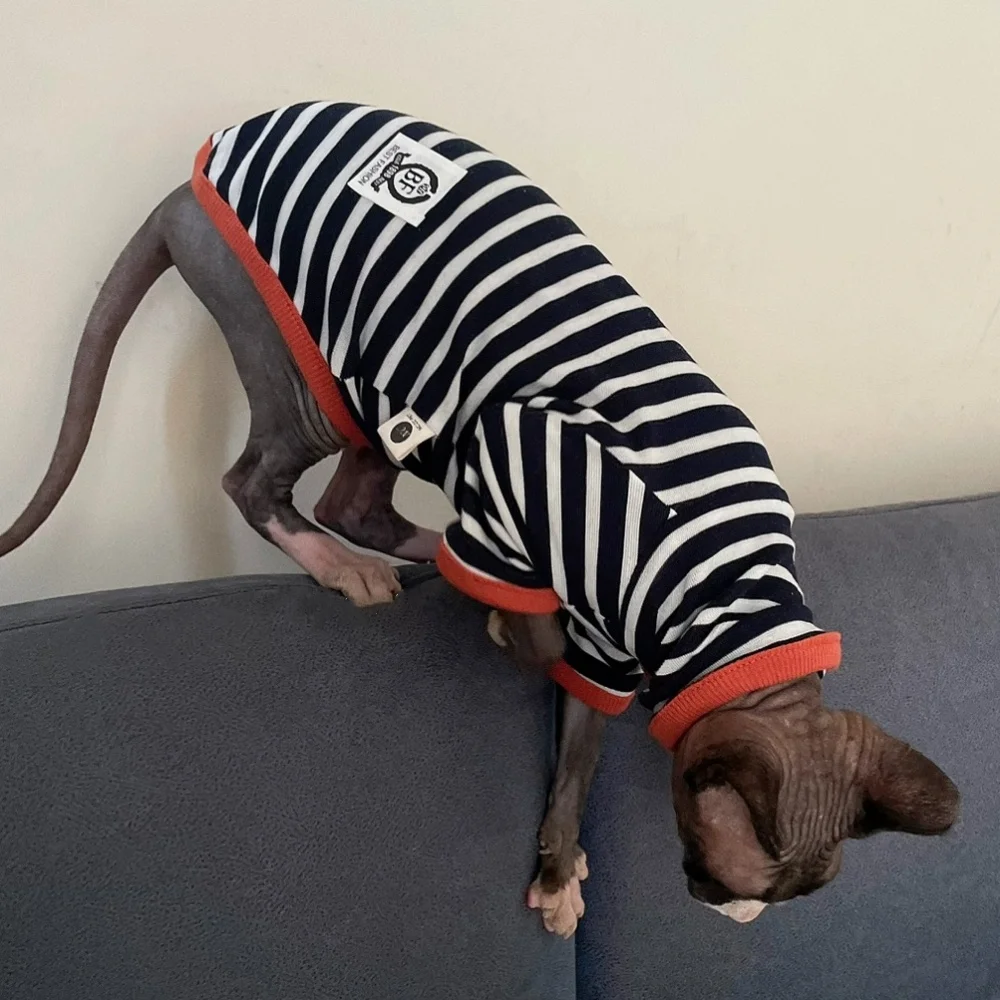 Camiseta de capa Base a rayas con cuello alto para gato Sphynx, abrigo de manga larga a la moda de otoño para gatos masculinos, sudadera negra para gatitos - imagen 5