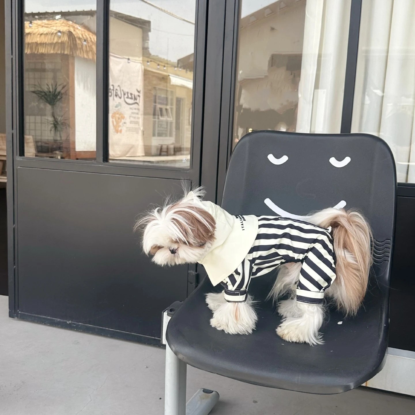 Chubasquero con capucha a rayas para mascotas, abrigo impermeable de cuatro pies para perros pequeños, mono con protección solar, disfraz para perros, primavera - imagen 2