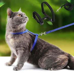 Arnés y correa para gato Sphynx – Para paseos al exterior