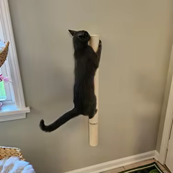 Poste rascador para gatos montado en la pared, cuerda de Sisal, poste de árbol para gatos para interiores, torre para gatos que ahorra espacio, Protector de muebles para gatos para gatitos