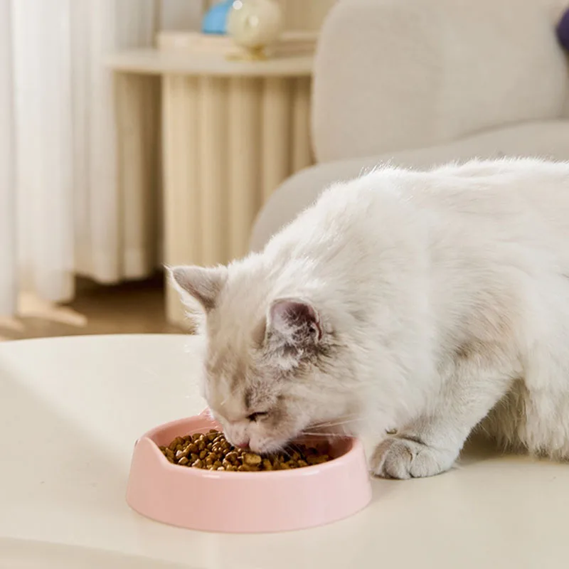 Tazón oreja de gato comedero bebedero para felinos y perros pequeños - imagen 3