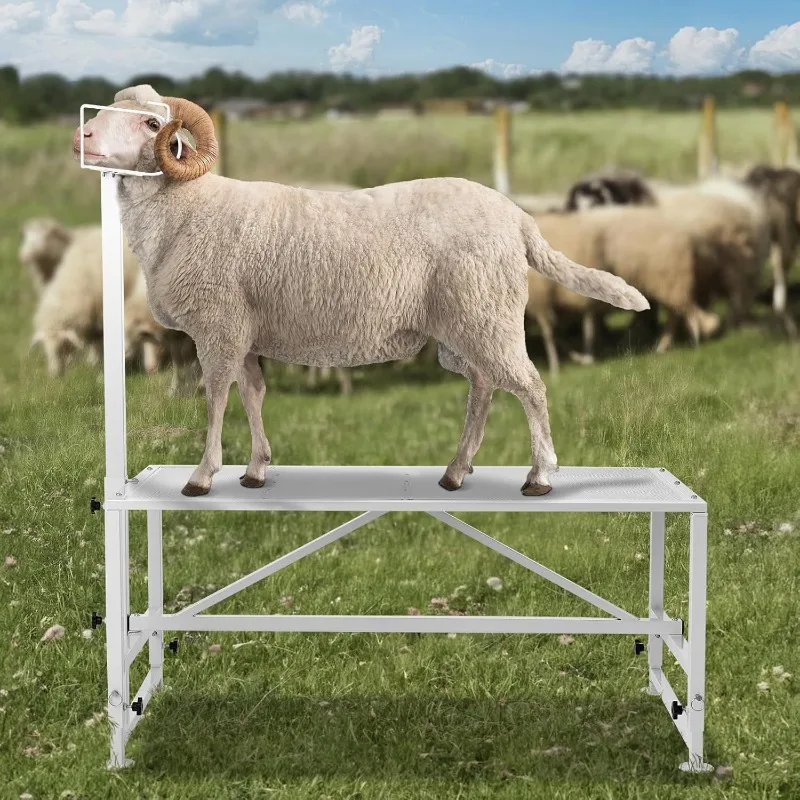 Soporte para ovejas y cabras de 47x23 pulgadas, soporte para ordeño, soporte para ovejas, altura ajustable, suministros de Metal para ganado, animales de granja - imagen 2