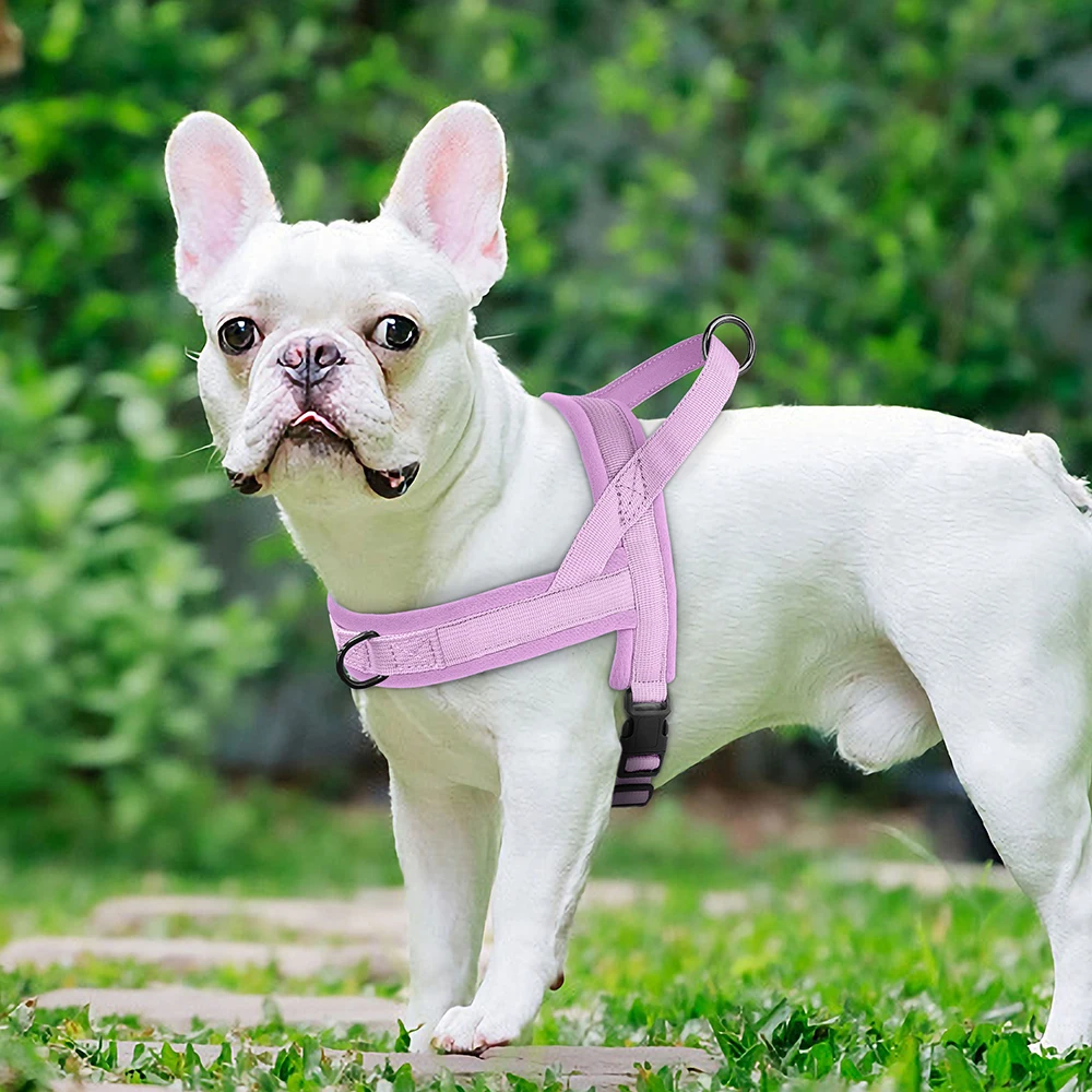 Arnés acolchado suave sin tirones para perro, chaleco duradero para cachorro y Pug, ajustable para perros pequeños y medianos, Bulldog, antitracción - imagen 5