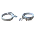 silver collar