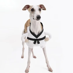 Disfraz Halloween perro creativo – ropa original para mascotas